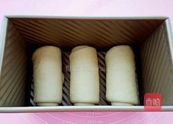 牛奶吐司的做法图解11