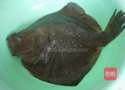 蒸多宝鱼的做法图解1