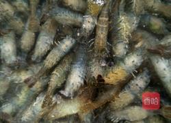 小河虾炒韭菜的做法图解1