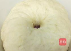 牛奶馒头的做法图解5