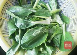 蒜蓉炒小油菜的做法图解1