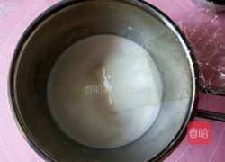 木瓜牛奶冻的做法图解5
