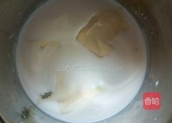 木瓜牛奶冻的做法图解7