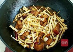茶树菇烧肉的做法图解10