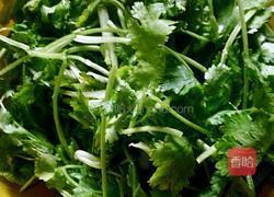 香菜拌面菜的做法图解1