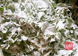 香菜拌面菜的做法图解4