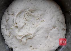 老面馒头的做法图解6