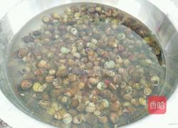 紫苏炒田螺的做法图解2