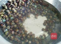 紫苏炒田螺的做法图解5