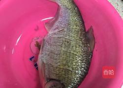 红烧大扁鱼的做法图解1