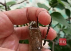 辣炒基围虾的做法图解3