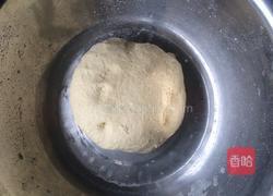 盘丝韭菜饼的做法图解2