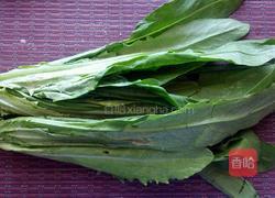 麻酱油麦菜的做法图解1