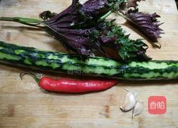 紫苏炒黄瓜的做法图解1