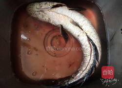 酸菜水煮鱼的做法图解2