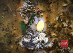 酸菜水煮鱼的做法图解13