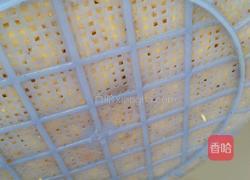 自发黄豆芽的做法图解5