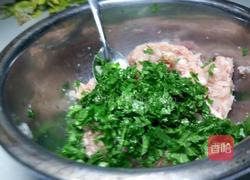 鲅鱼馅饺子的做法图解12