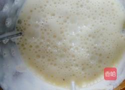 香蕉酸奶冰淇淋的做法图解5