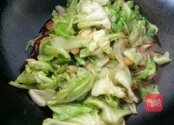 酱爆洋白菜的做法图解6