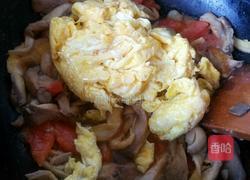 蘑菇炒鸡蛋的做法图解8