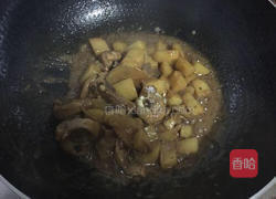土豆焖鸡块的做法图解8