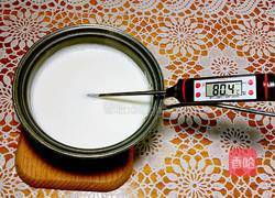 姜撞奶（广东特色甜品）的做法图解4