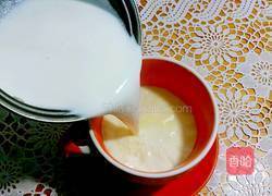 姜撞奶（广东特色甜品）的做法图解5