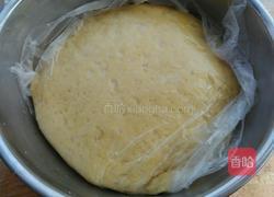 蜂蜜麻花的做法图解6