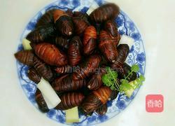 盐水煮蚕蛹的做法图解4