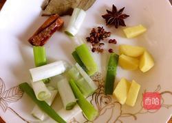 炖牛肉的做法图解3