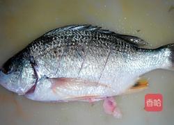 炖鱼的做法图解1