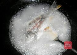 炖鱼的做法图解8