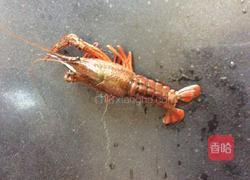 香辣龙虾的做法图解2