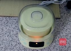 奶粉酸奶的做法图解4