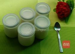奶粉酸奶的做法图解8