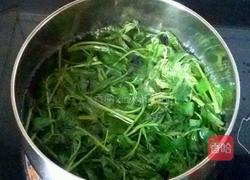 巧腌香椿芽的做法图解2