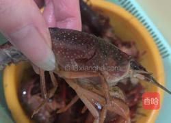 十三香小龙虾的做法图解5