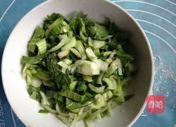 三鲜素春卷的做法图解2