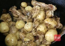 小土豆炖鸡块的做法图解8