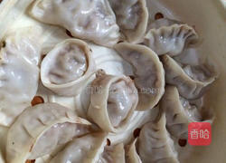香葱饺子的做法图解7