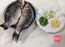 干烧鲫鱼的做法图解1