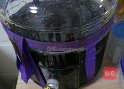 桑葚酒的做法图解4