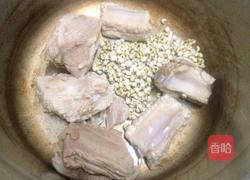 薏米冬瓜排骨汤的做法图解5