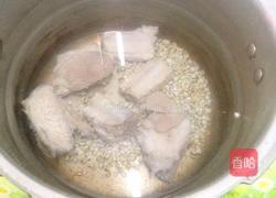 薏米冬瓜排骨汤的做法图解6
