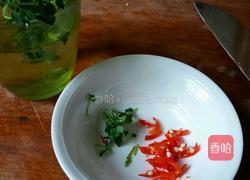 蒜蓉烤生蚝的做法图解4