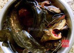 《鲶鱼炖茄子》的做法图解1