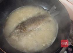 豆腐鱼汤的做法图解5