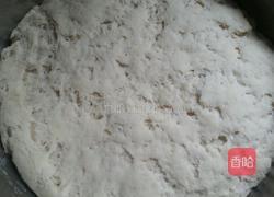 刺五加嫩叶猪肉包的做法图解4