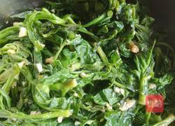 凉拌刺五加的做法图解5